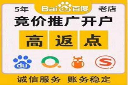 SEM代理案例：优化策略助力企业增长